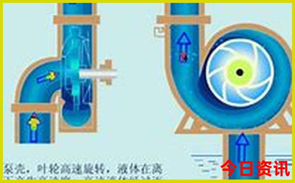 管家婆一码一肖资料免费大全